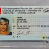 Buy Database Swiss Driver's-License