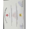 Buy Registered CUD Certificate