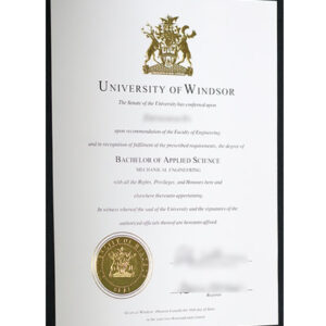 Buy Genuine Windsor Degree