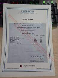 Buy Real IGCSE certificate